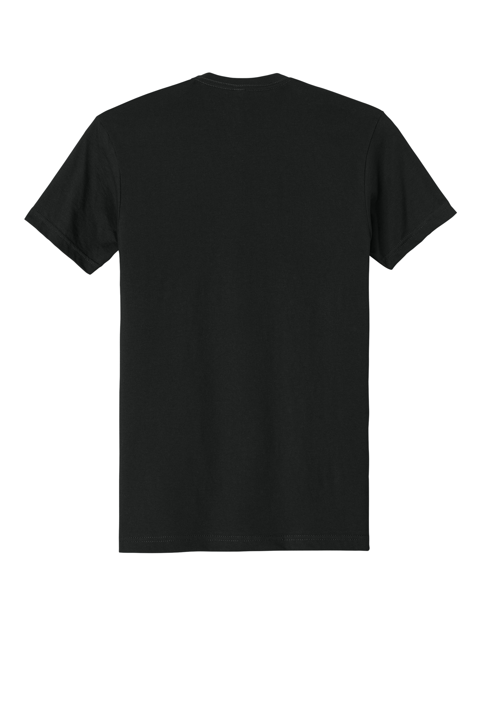 Customized Next Level Apparel® NL6210