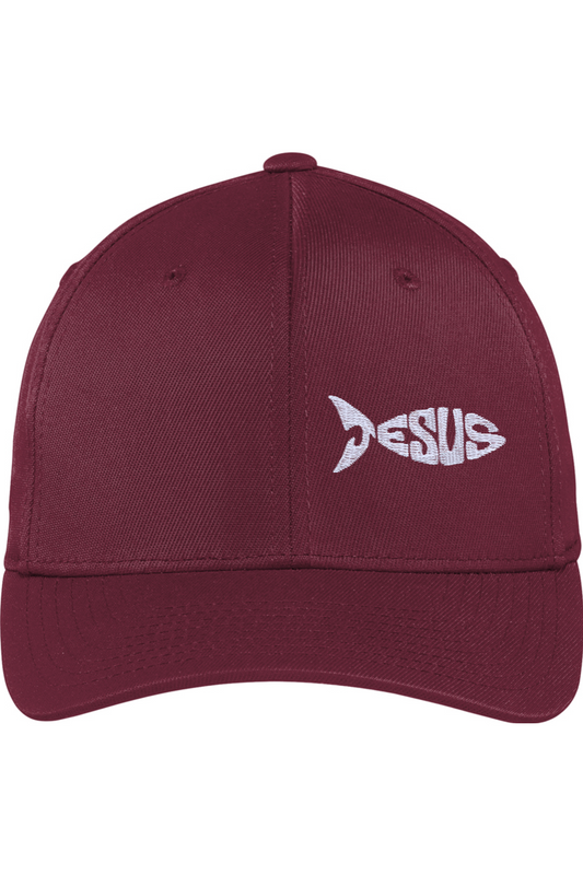 Jesus Fish