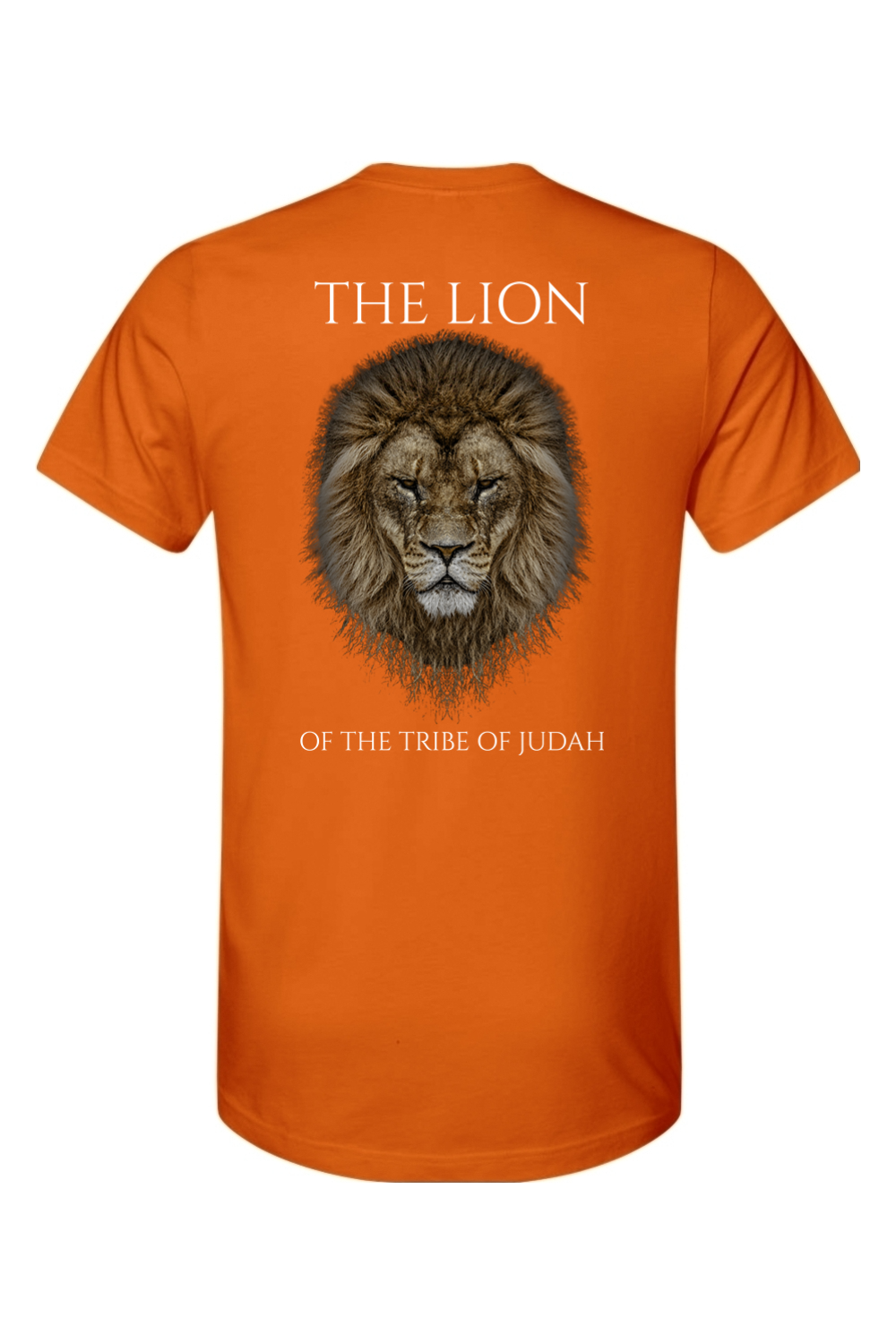 THE LAMB THE LION