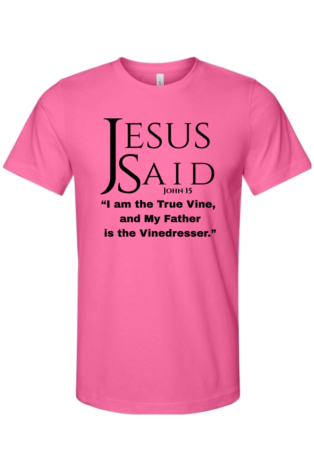 Jesus Said John 15