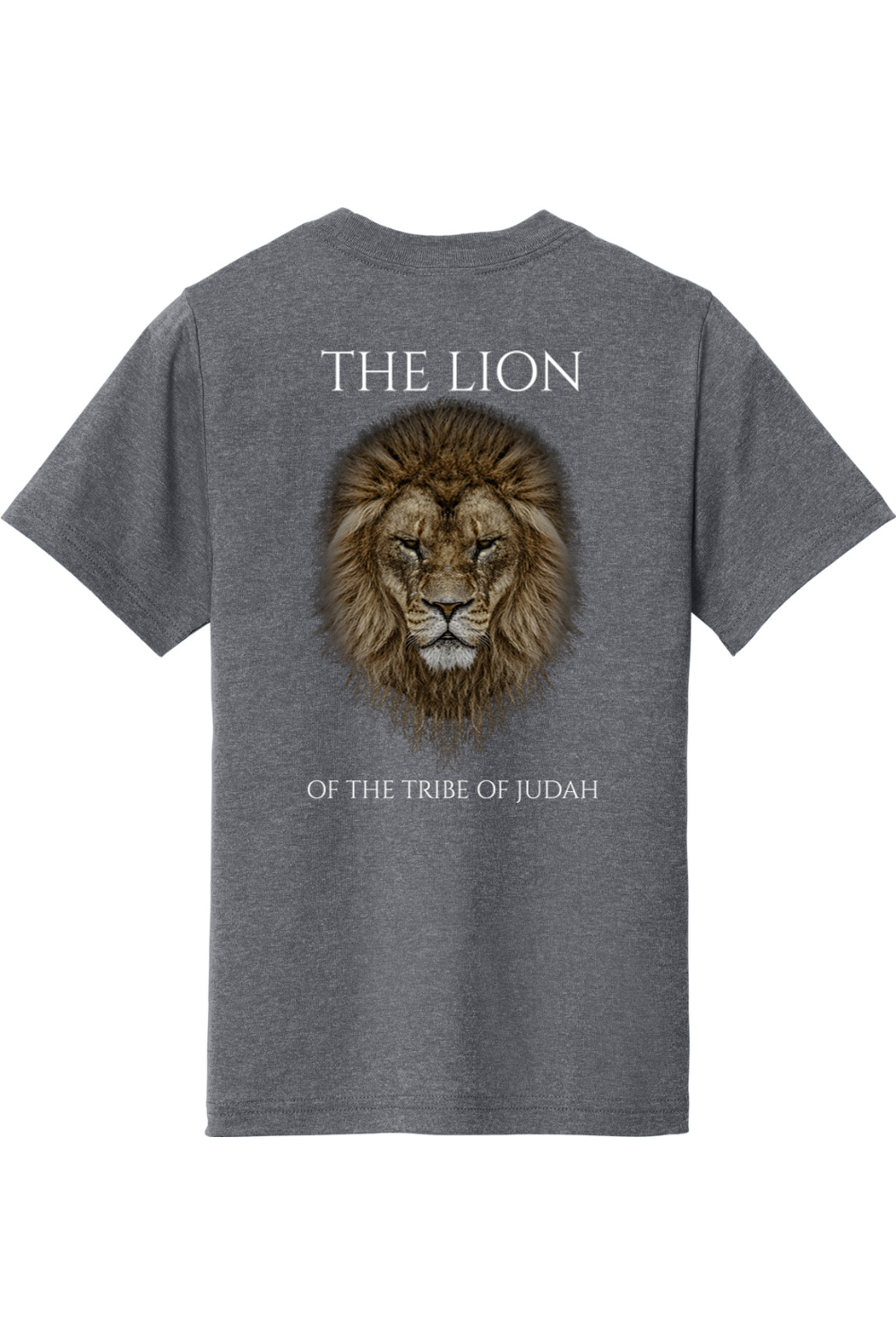 THE LAMB THE LION
