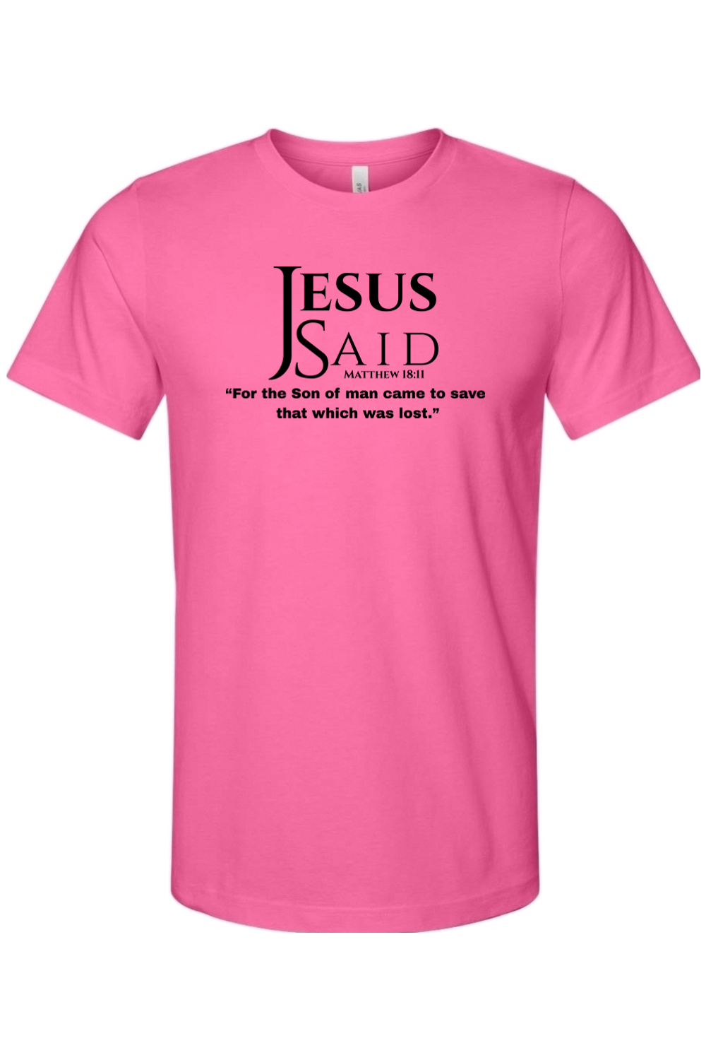 Jesus Said Matthew 18:11