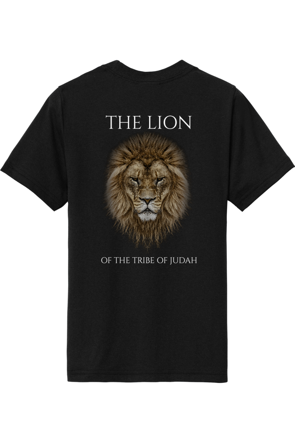 THE LAMB THE LION