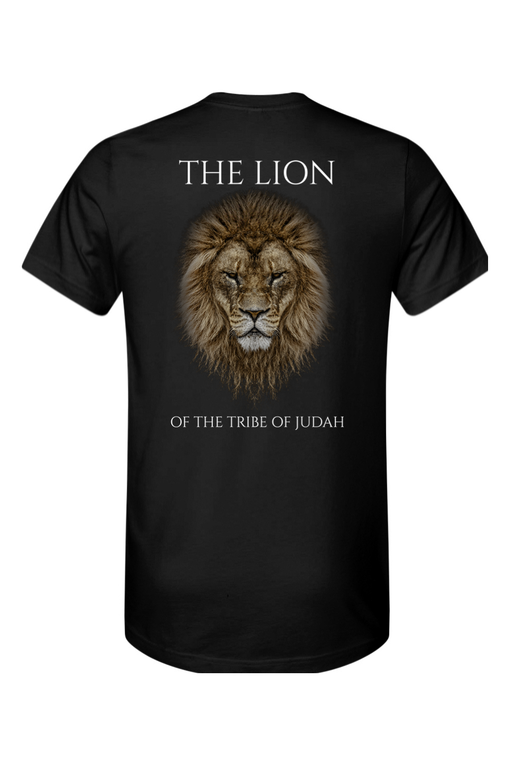 THE LAMB THE LION