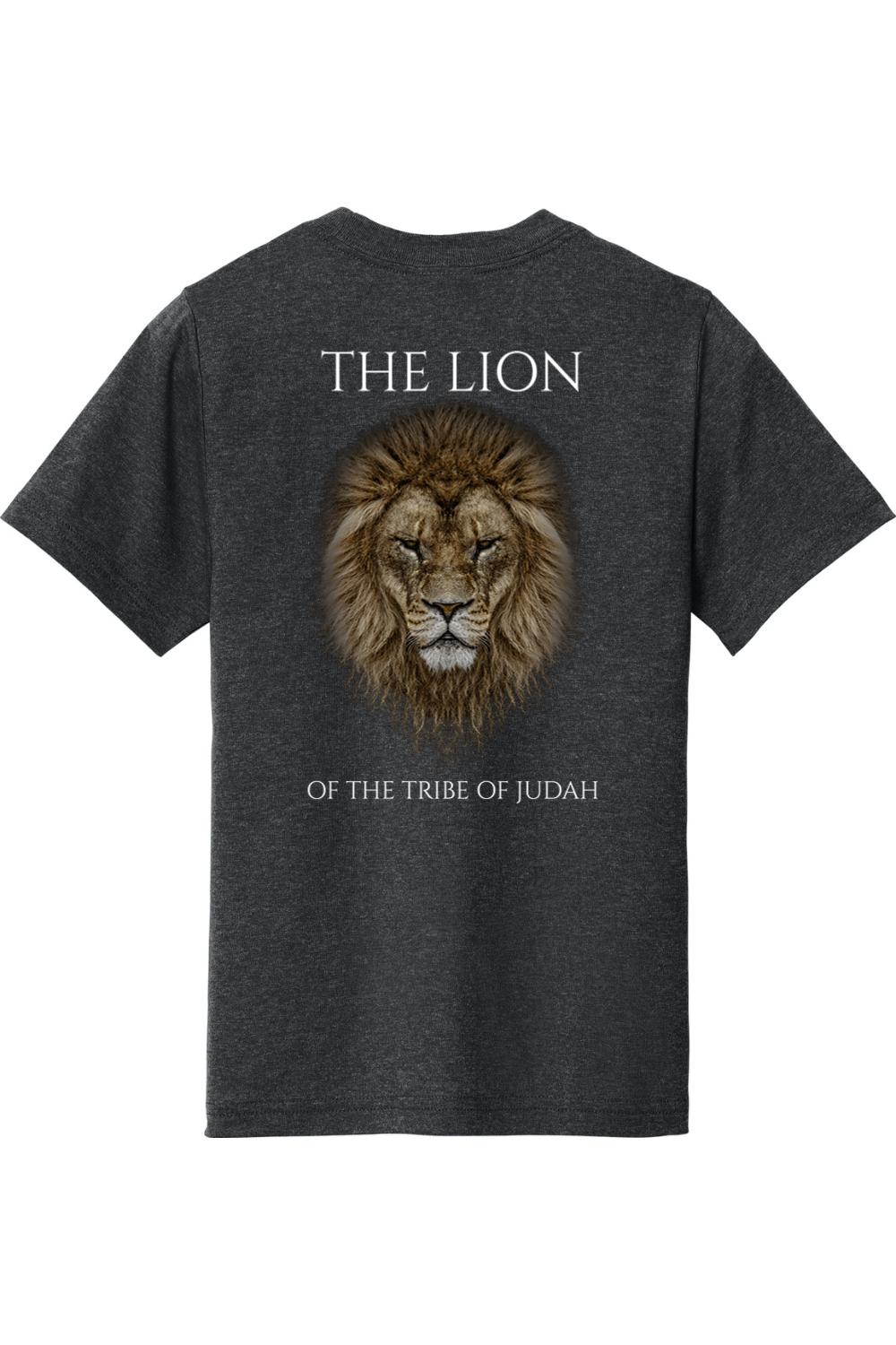 THE LAMB THE LION