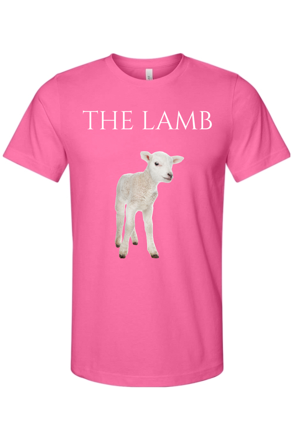 THE LAMB THE LION