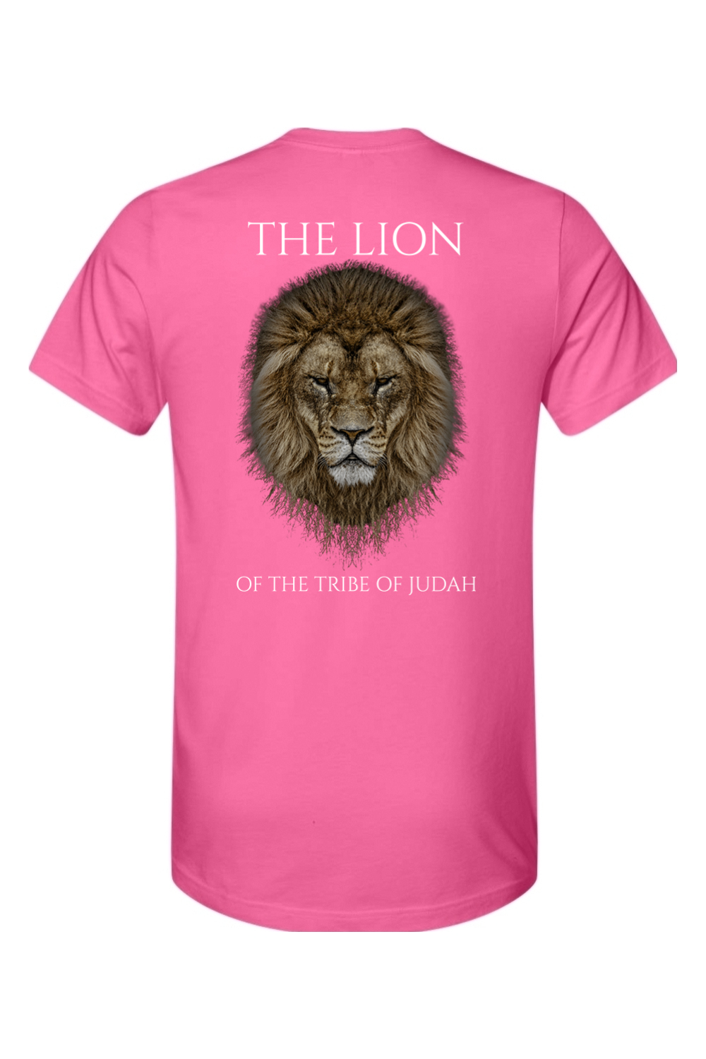 THE LAMB THE LION