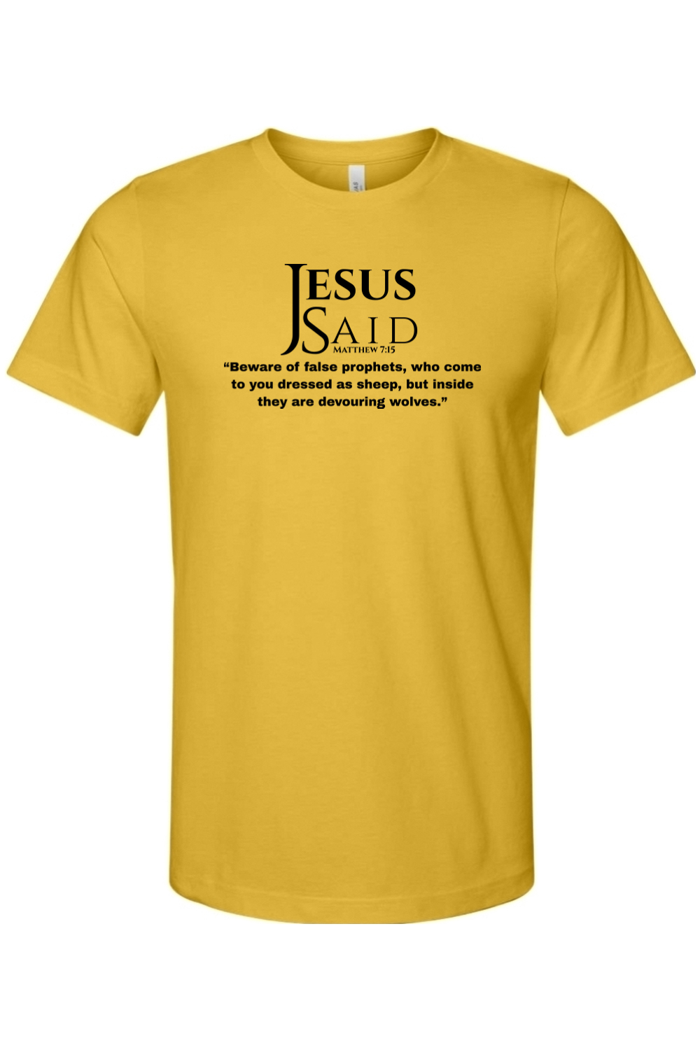 Jesus Said Matthew 7:15