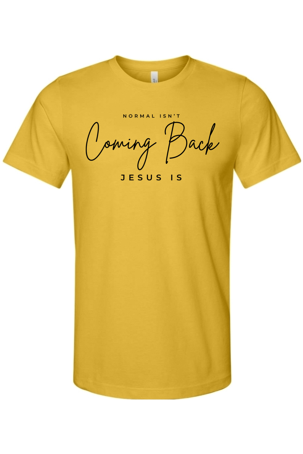 Normal Isn't Coming Back Jesus Is